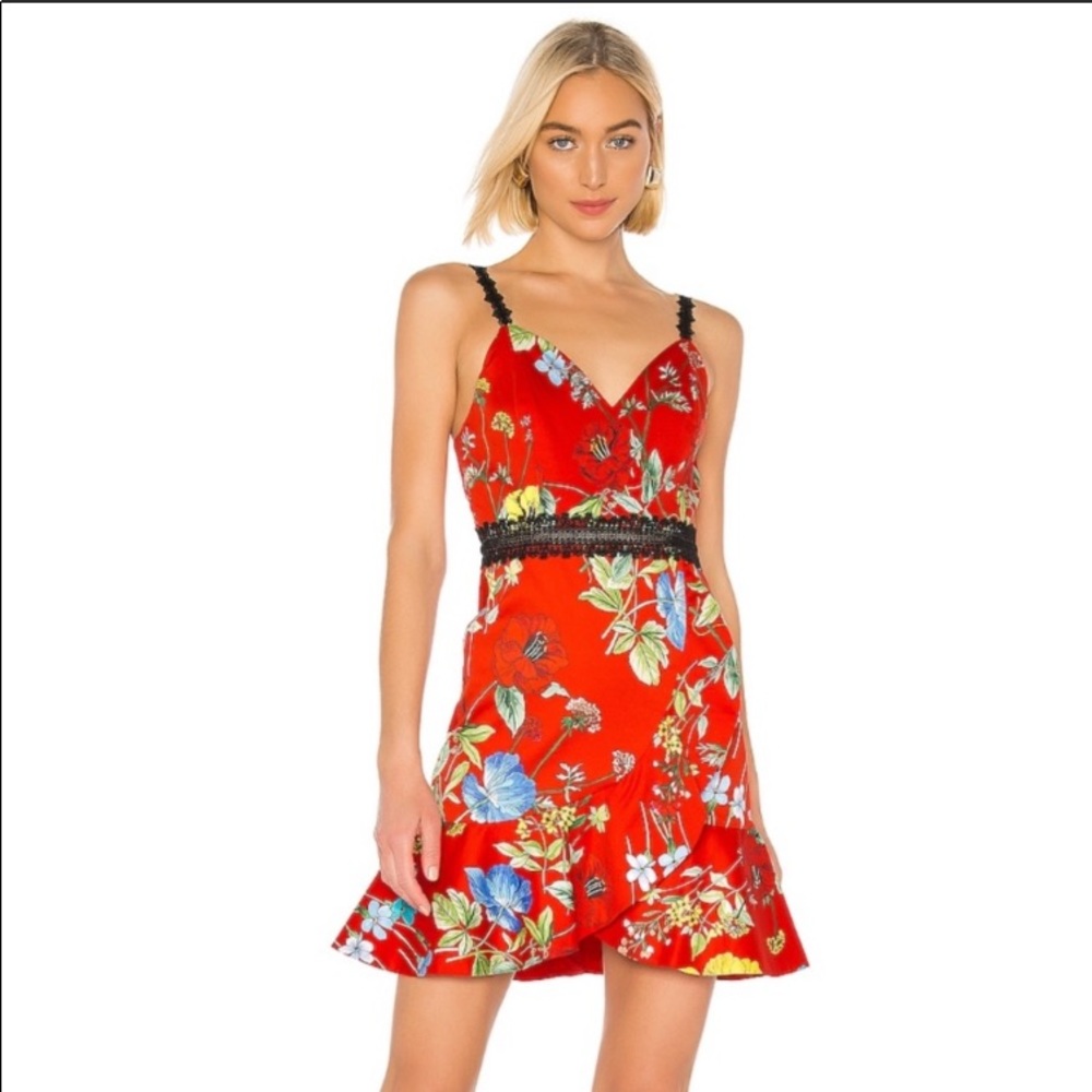 Alice and Oliva Sweetheart Dress